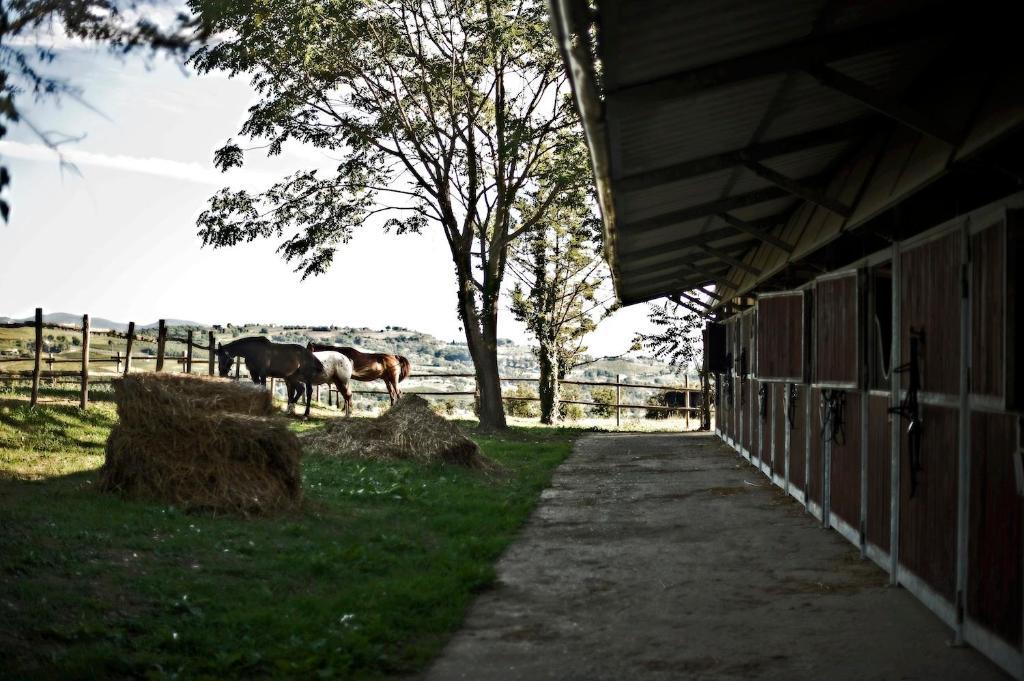 Tenuta Di Corbara Exterior foto